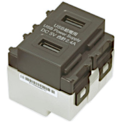 DM2-U2P2型 埋込充電用USBコンセント 2ポートタイプ グレー